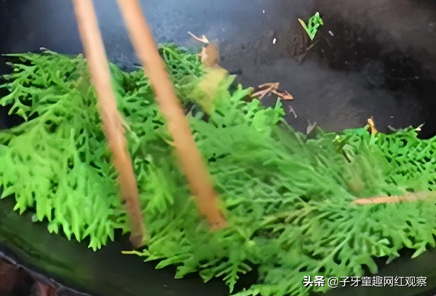 云南做黑暗料理网红,_云南老汉老杨 黑暗料理 网红